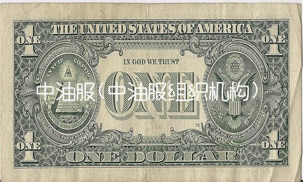 中油服(中油服组织机构)