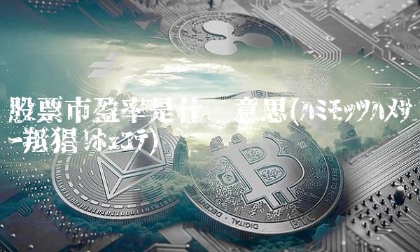 股票市盈率是什么意思(ﾊﾐﾓｯﾂﾊﾒｻｰ羝猖ﾙﾎｪｺﾃ)