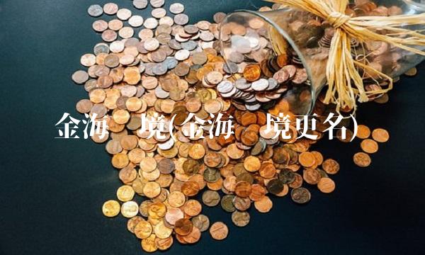 金海环境(金海环境更名)