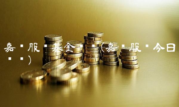 嘉实服务基金净值(嘉实服务今日净值)