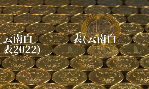 云南白药财务报表(云南白药财务报表2022)