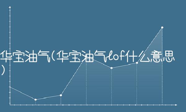 华宝油气(华宝油气lof什么意思)
