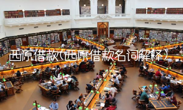 西原借款(西原借款名词解释)