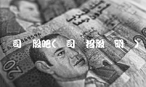 爱司凯股吧(爱司凯招股说明书)