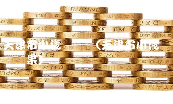 天津市小汽车摇号(天津市小汽车摇号结果)