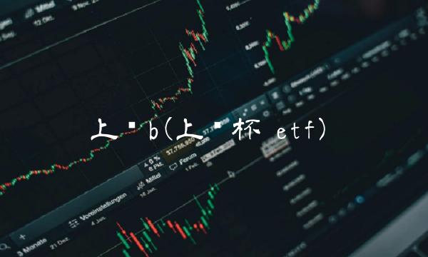 上证b(上证杯 etf)