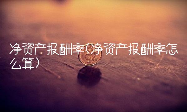 净资产报酬率(净资产报酬率怎么算)