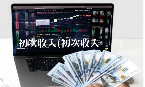 初次收入(初次收入账户)