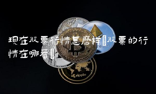 现在股票行情怎么样(股票的行情在哪看)