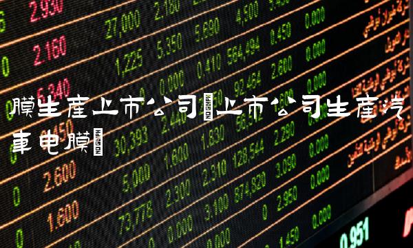 膜生产上市公司(上市公司生产汽车电膜)