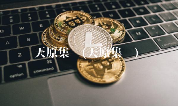 天原集团(天原集团)