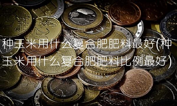 种玉米用什么复合肥肥料最好(种玉米用什么复合肥肥料比例最好)