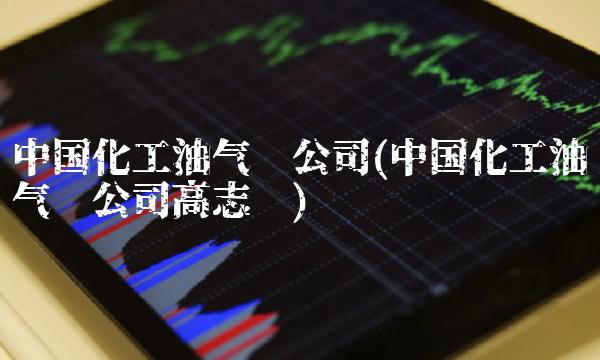 中国化工油气总公司(中国化工油气总公司高志伟)
