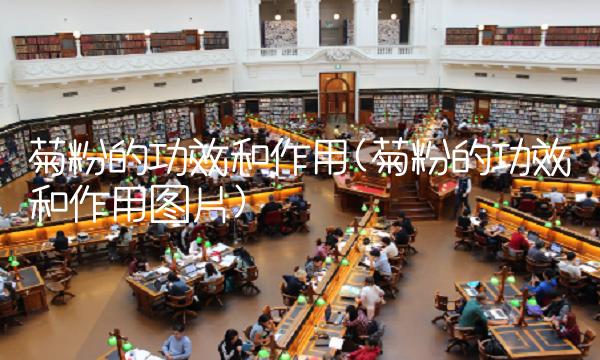 菊粉的功效和作用(菊粉的功效和作用图片)