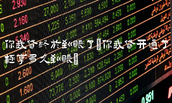 你我贷终于到账了(你我贷开通了极享多久到账)