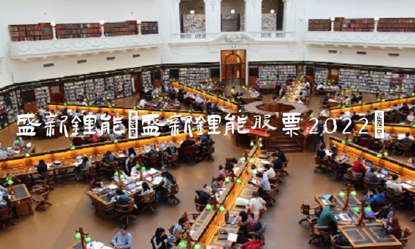 盛新锂能(盛新锂能股票2022)