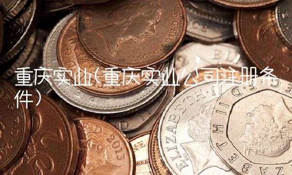 重庆实业(重庆实业公司注册条件)
