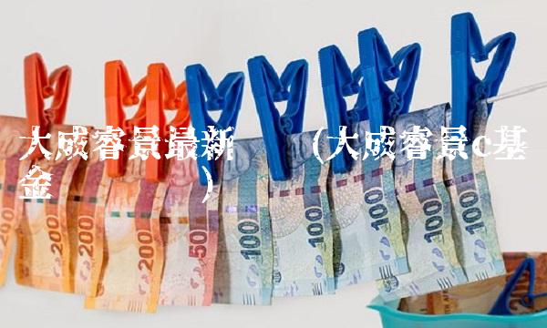 大成睿景最新净值(大成睿景c基金净值查询)