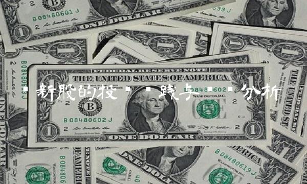 华新股的投资实践与风险分析