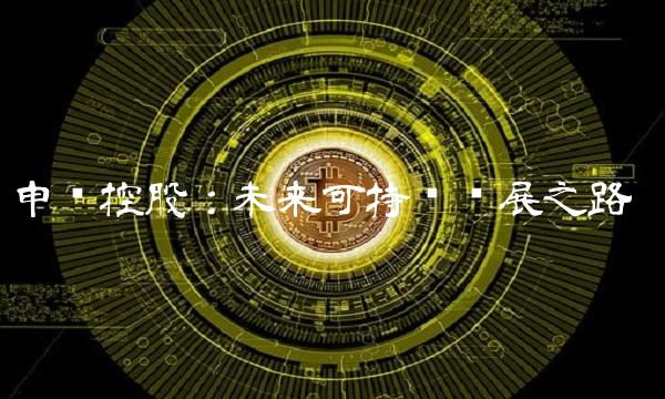 申华控股：未来可持续发展之路