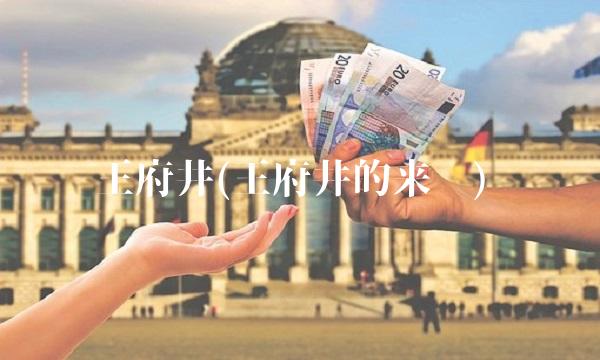 王府井(王府井的来历)