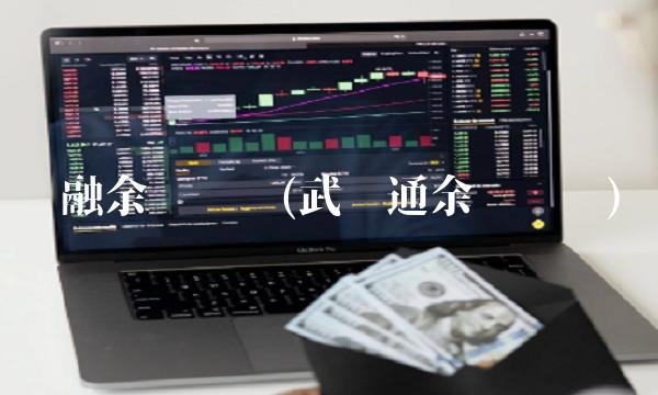 两融余额查询(武汉通余额查询)