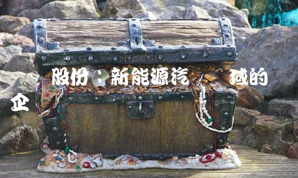 浔兴股份：新能源汽车领域的领军企业