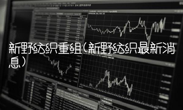 新野纺织重组(新野纺织最新消息)