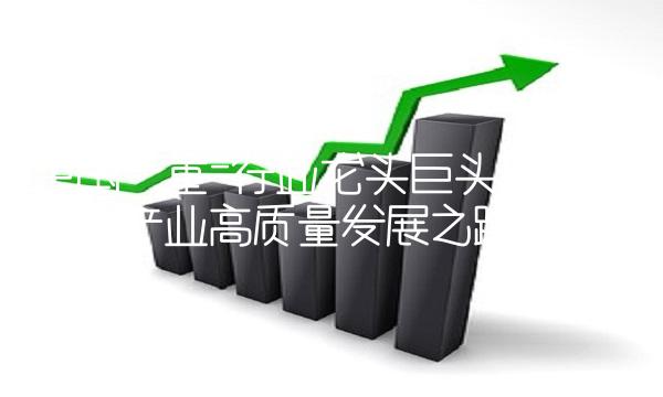 中国一重-行业龙头巨头，引领钢铁产业高质量发展之路