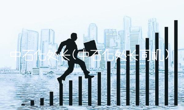 中石化处长(中石化处长司机)