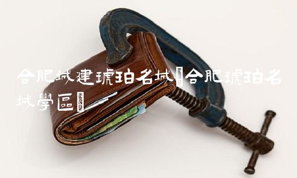 合肥城建琥珀名城(合肥琥珀名城学区)