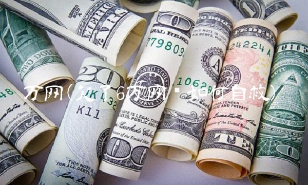 万网(欠了6万网贷如何自救)