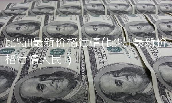 比特币最新价格行情(比特币最新价格行情人民币)