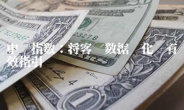 中证指数：将客观数据转化为有效指引