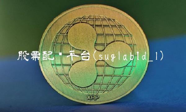 股票配资平台(suglabId_1)