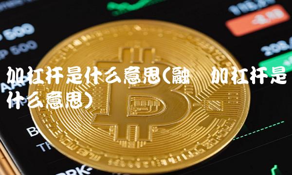 加杠杆是什么意思(融资加杠杆是什么意思)