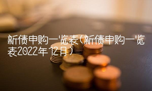 新债申购一览表(新债申购一览表2022年12月)