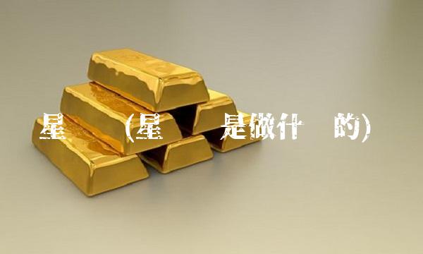 星帅尔(星帅尔是做什么的)