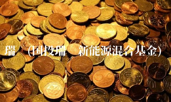 瑞银(国投瑞银新能源混合基金)