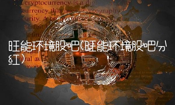 旺能环境股吧(旺能环境股吧分红)