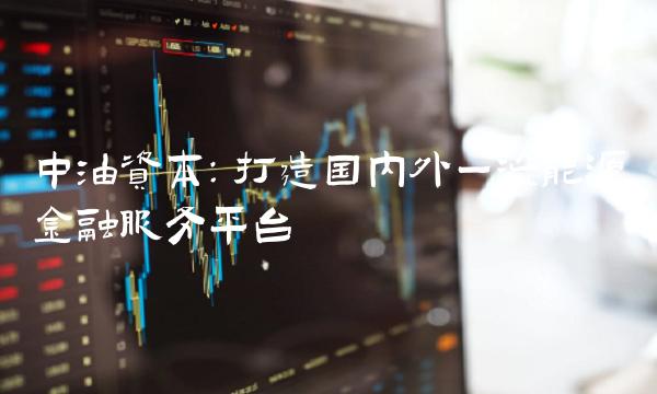 中油资本：打造国内外一流能源金融服务平台