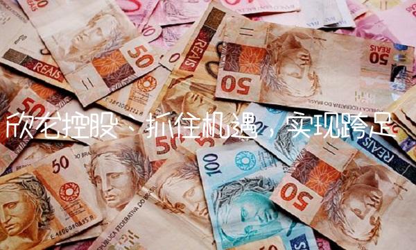 欣龙控股：抓住机遇，实现跨足