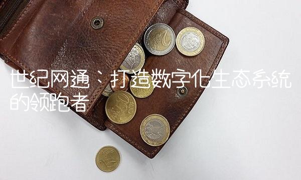 世纪网通：打造数字化生态系统的领跑者