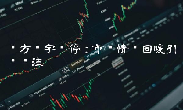 东方环宇涨停：市场情绪回暖引发关注