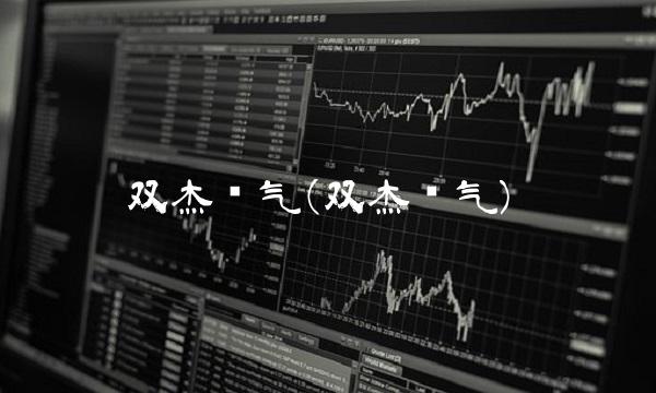 双杰电气(双杰电气)