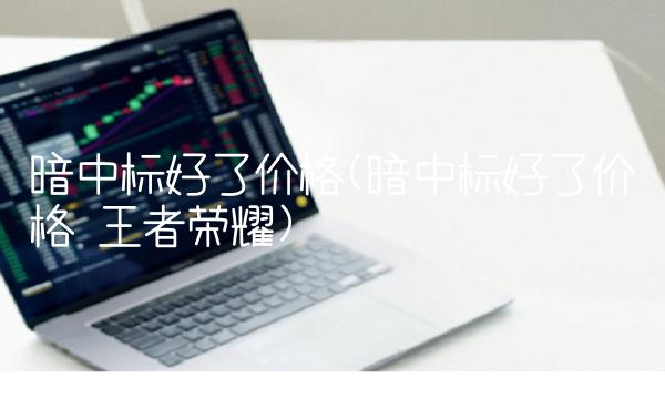 暗中标好了价格(暗中标好了价格 王者荣耀)