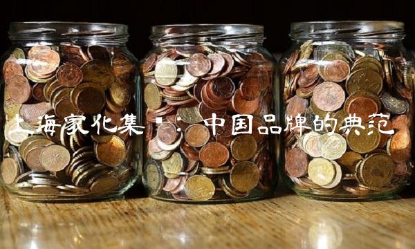 上海家化集团 中国品牌的典范