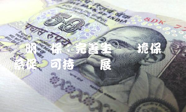 伟明环保：完善生态环境保护体系促进可持续发展