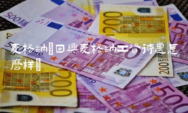 麦格纳(回兴麦格纳工资待遇怎么样)