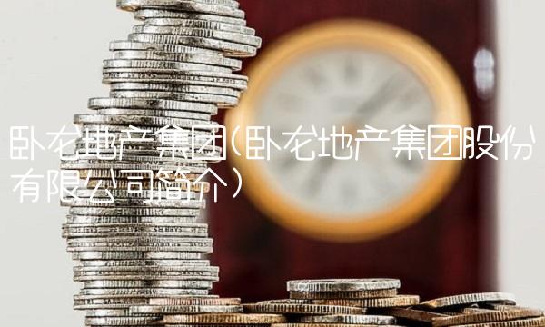 卧龙地产集团(卧龙地产集团股份有限公司简介)